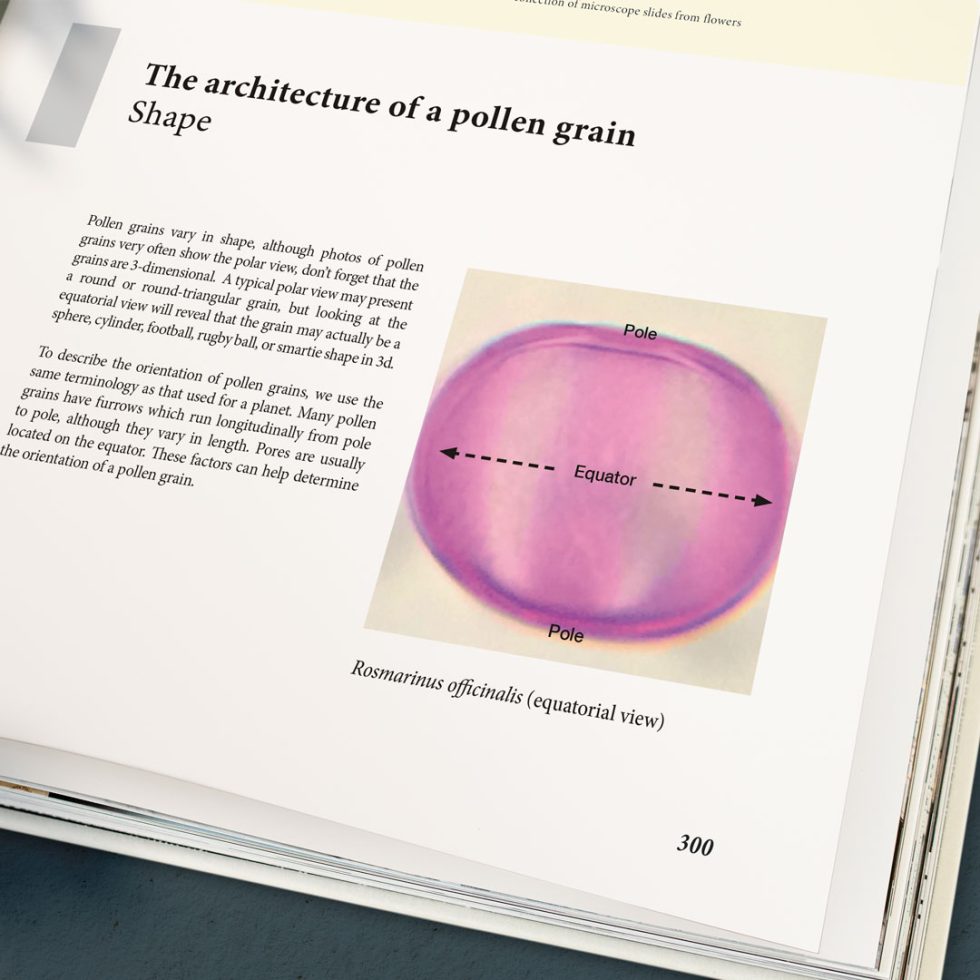 Pollen Design Pollen Grains and Honeydew » SiPat.inc –– Digital Designs in and around ...